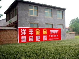 桃江如何让墙体广告展现最大化效果
