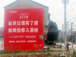 桃江墙体广告在乡镇、农村市场的媒体优势