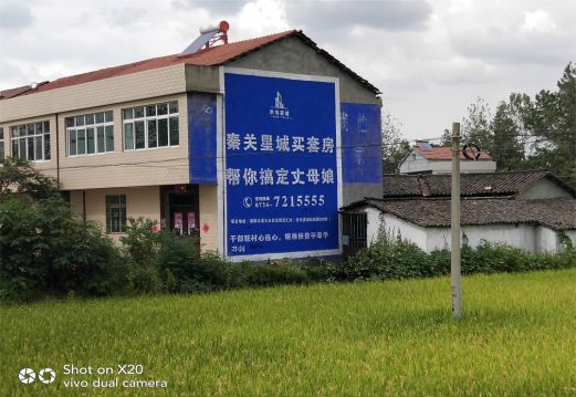 桃江决定墙体广告价格的因素有哪些?