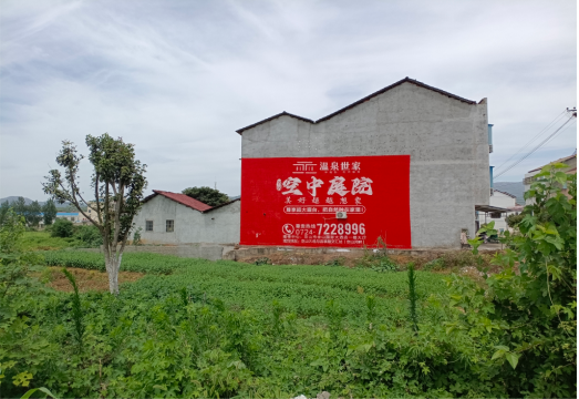 桃江做墙体广告的意义