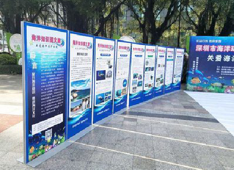 桃江KT板的种类和知识。